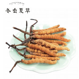 西藏那曲冬虫夏草—花好月圆