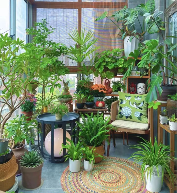 绿植权益套餐